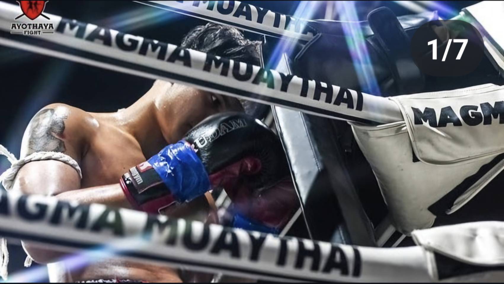 Fight Photo 2